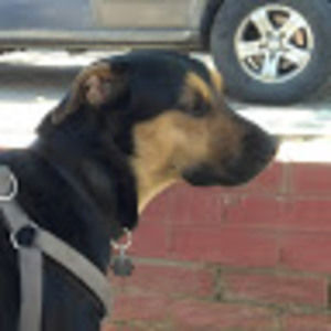 Meet your Posher, Brandy